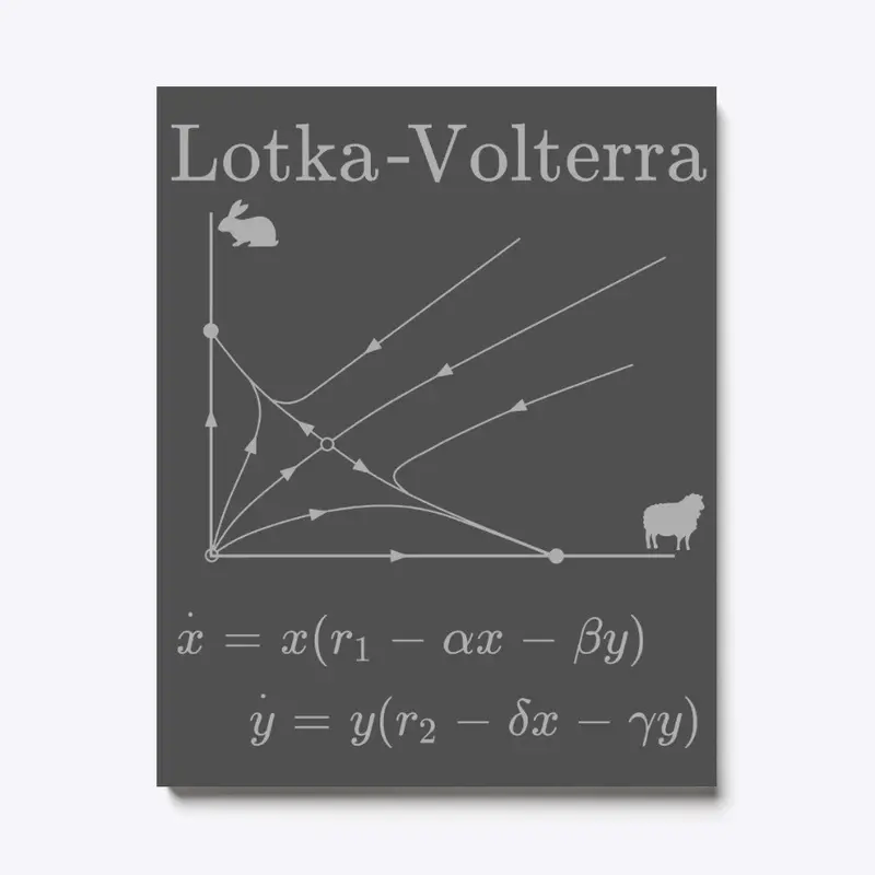 Lotka Volterra Competitive